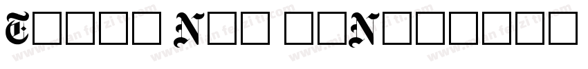 TIMES NEW MEN字体转换